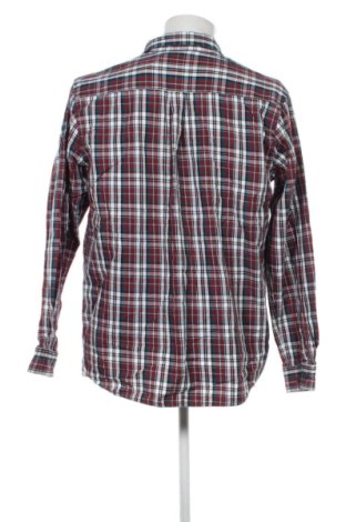 Herrenhemd Cotton Traders, Größe L, Farbe Mehrfarbig, Preis 22,99 €