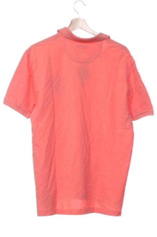 Pánske tričko  Massimo Dutti, Veľkosť XXS, Farba Ružová, Cena  29,95 €