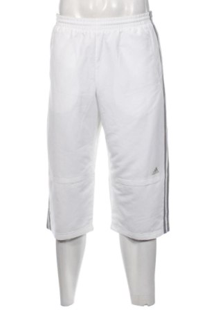 Pánské kraťasy Adidas, Velikost M, Barva Bílá, Cena  519,00 Kč