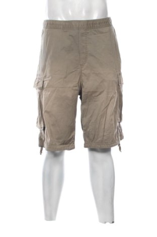 Herren Shorts H&M, Größe L, Farbe Grün, Preis 15,00 €