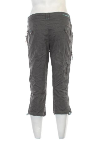 Herren Shorts Icepeak, Größe L, Farbe Mehrfarbig, Preis 27,99 €