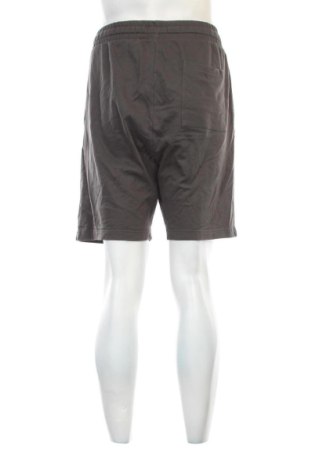 Herren Shorts Next, Größe XL, Farbe Grau, Preis 17,00 €