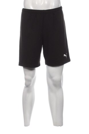Herren Shorts PUMA, Größe L, Farbe Schwarz, Preis € 17,00