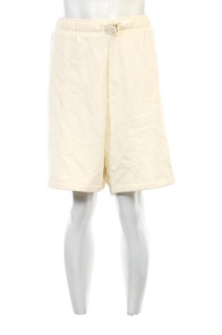 Herren Shorts Unbranded, Größe XL, Farbe Ecru, Preis 14,99 €, #136375247