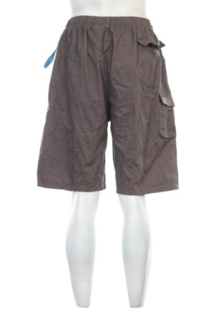 Pantaloni scurți de bărbați Unbranded, Mărime XL, Culoare Gri, Preț 91,99 Lei