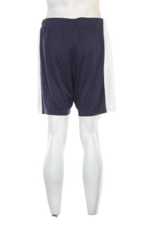 Pantaloni scurți de bărbați Under Armour, Mărime L, Culoare Albastru, Preț 183,99 Lei