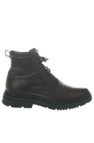 Herrenschuhe Clarks, Größe 45, Farbe Braun, Preis 167,99 €