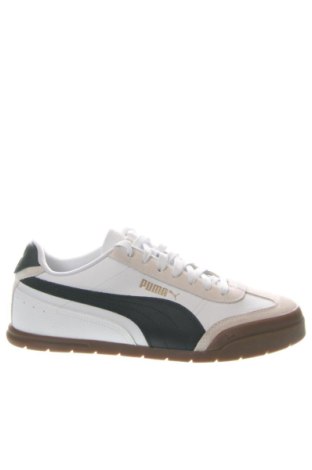 Herrenschuhe PUMA, Größe 42, Farbe Mehrfarbig, Preis 137,99 €