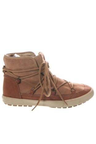 Herrenschuhe Roxy, Größe 42, Farbe Braun, Preis € 65,00