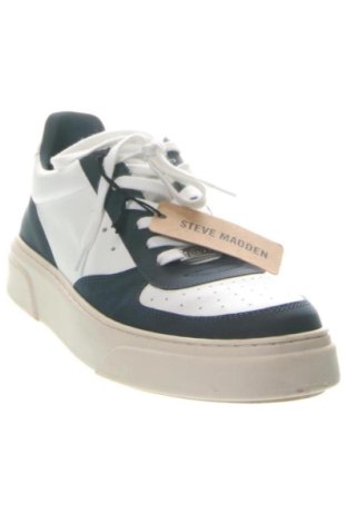 Ανδρικά παπούτσια Steve Madden, Μέγεθος 44, Χρώμα Πολύχρωμο, Τιμή 127,99 €