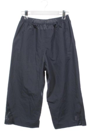Мъжки панталон Domyos, Размер S, Цвят Сив, Цена 29,14 €