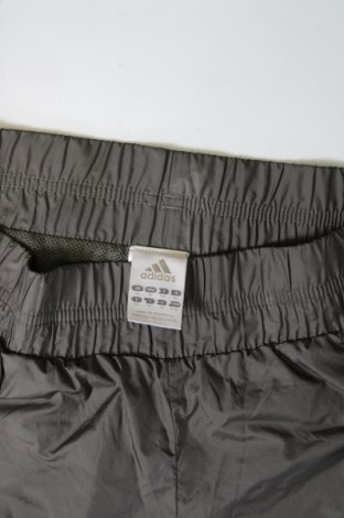 Herren Sporthose Adidas, Größe M, Farbe Grün, Preis 31,99 €