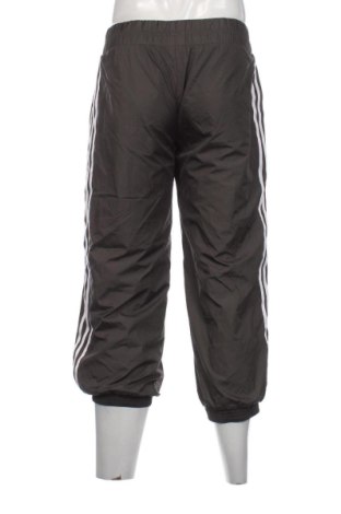 Herren Sporthose Adidas, Größe M, Farbe Grün, Preis 31,99 €