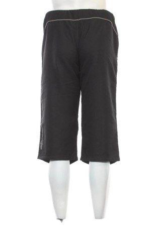 Herren Sporthose Tommy Hilfiger, Größe L, Farbe Blau, Preis € 54,99