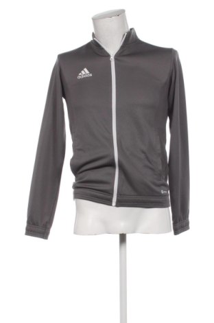 Męska bluza sportowa Adidas, Rozmiar S, Kolor Szary, Cena 129,99 zł