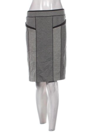 Rock Betty Barclay, Größe M, Farbe Mehrfarbig, Preis 28,00 €
