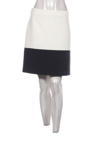 Φούστα Esprit, Μέγεθος XL, Χρώμα Πολύχρωμο, Τιμή 25,99 €