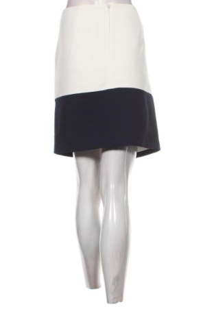 Φούστα Esprit, Μέγεθος XL, Χρώμα Πολύχρωμο, Τιμή 25,99 €
