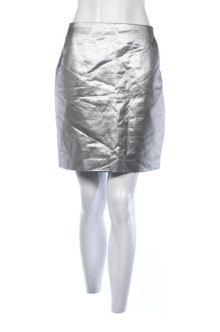 Sukně H&M, Velikost L, Barva Šedá, Cena  289,00 Kč