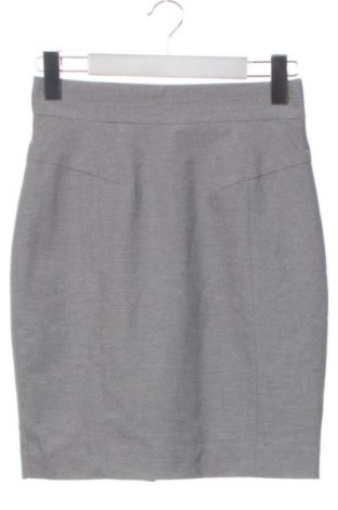 Φούστα H&M, Μέγεθος XS, Χρώμα Γκρί, Τιμή 11,99 €