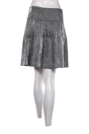 Fustă Ringspun, Mărime M, Culoare Gri, Preț 108,96 Lei