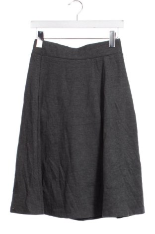 Rock Uniqlo, Größe XS, Farbe Grau, Preis 27,99 €
