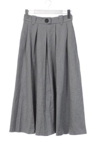 Rock Zara, Größe XS, Farbe Grau, Preis € 18,99