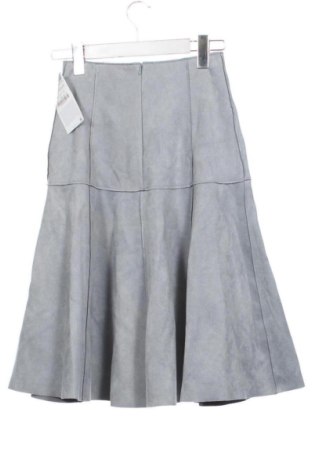 Rock Zara, Größe XXS, Farbe Grau, Preis 30,99 €