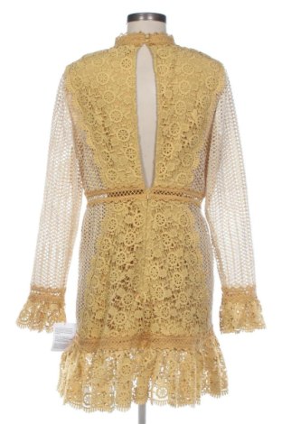 Kleid ASOS, Größe L, Farbe Mehrfarbig, Preis 55,24 €