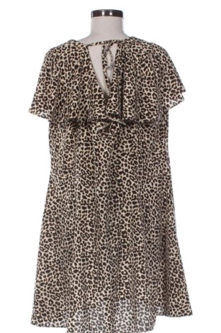 Kleid ASOS, Größe XXL, Farbe Mehrfarbig, Preis € 24,55