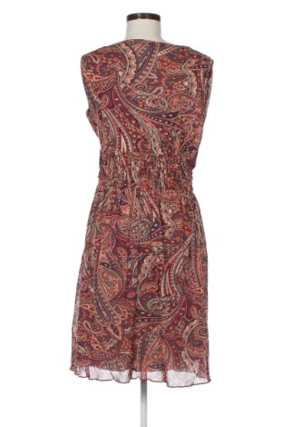 Kleid Conbipel, Größe L, Farbe Mehrfarbig, Preis 31,99 €