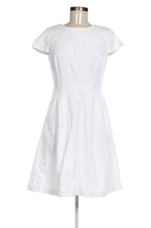 Kleid Orsay, Größe M, Farbe Ecru, Preis 14,74 €, #136452138