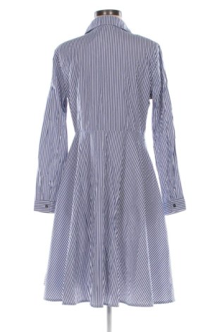 Kleid Primark, Größe L, Farbe Mehrfarbig, Preis € 25,00