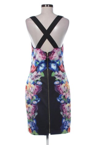 Φόρεμα Ted Baker, Μέγεθος L, Χρώμα Πολύχρωμο, Τιμή 80,25 €