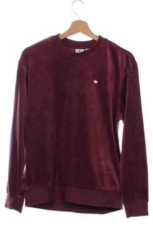 Damen Shirt Adidas, Größe XS, Farbe Rot, Preis 27,99 €