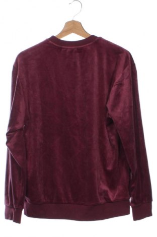 Damen Shirt Adidas, Größe XS, Farbe Rot, Preis 27,99 €