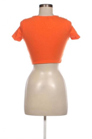 Damen Shirt Terranova, Größe S, Farbe Orange, Preis € 1,99