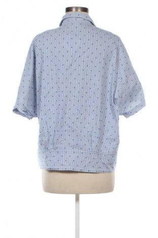 Damska koszula Madeleine, Rozmiar XL, Kolor Kolorowy, Cena 29,99 zł