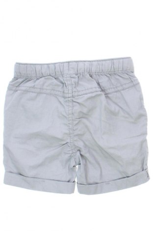 Dziecięce szorty Coolclub, Rozmiar 6-9m/ 68-74 cm, Kolor Szary, Cena 6,99 zł