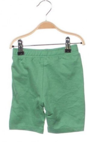 Dziecięce szorty Disney, Rozmiar 1-2m/ 50-56 cm, Kolor Zielony, Cena 6,99 zł