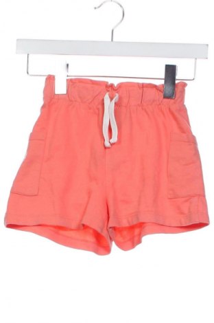 Dziecięce szorty Pepco, Rozmiar 5-6y/ 116-122 cm, Kolor Pomarańczowy, Cena 11,99 zł