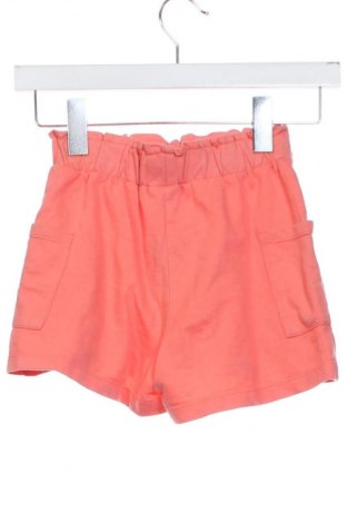 Dziecięce szorty Pepco, Rozmiar 5-6y/ 116-122 cm, Kolor Pomarańczowy, Cena 11,99 zł