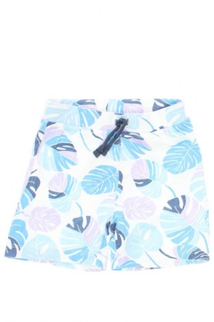 Dziecięce szorty Primark, Rozmiar 9-12m/ 74-80 cm, Kolor Kolorowy, Cena 6,99 zł