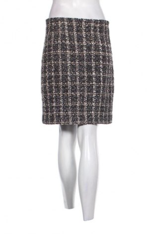 Φούστα Danini, Μέγεθος M, Χρώμα Πολύχρωμο, Τιμή 2,99 €