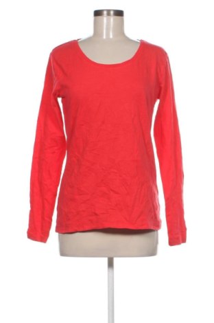 Női blúz Basics, Méret L, Szín Rózsaszín, Ár 4 949 Ft