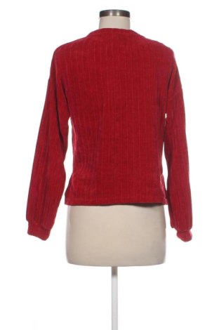 Damen Shirt Bershka, Größe XS, Farbe Rot, Preis 10,00 €