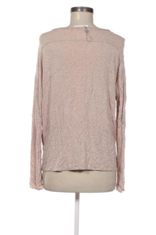 Dámska blúza Betty & Co, Veľkosť XL, Farba Viacfarebná, Cena  29,95 €