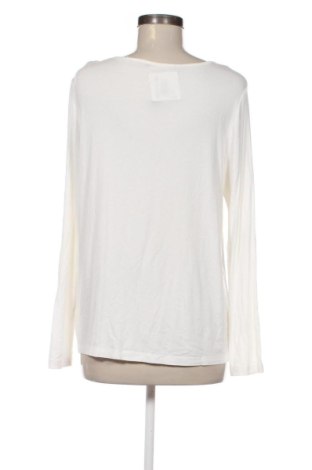 Damen Shirt Betty Barclay, Größe XXL, Farbe Ecru, Preis 31,99 €