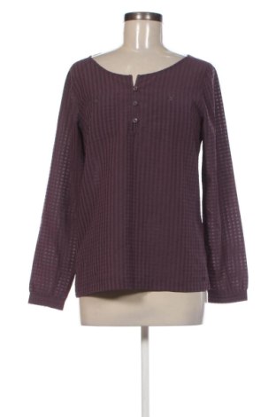 Γυναικεία μπλούζα Eddie Bauer, Μέγεθος S, Χρώμα Βιολετί, Τιμή 29,99 €