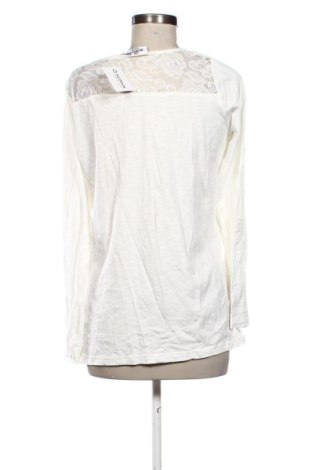Damen Shirt Gina Benotti, Größe M, Farbe Weiß, Preis 9,78 €